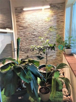 5 soverom Hus til salgs i Sotogrande - € 3 000 (Ref: 7530935)