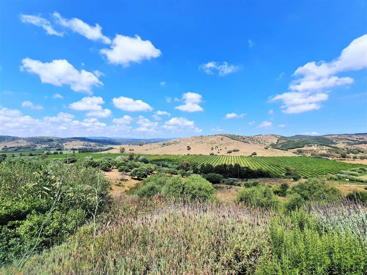 5 bedroom Finca/Country House for sale in San Martin del Tesorillo - € 1,800,000 (Ref: 7707085)