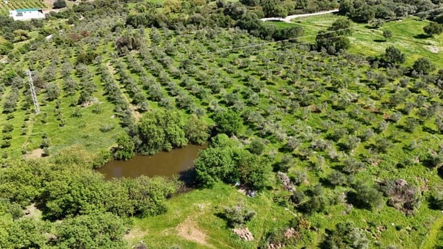 Finca/Landehus til salg i Gaucín - € 400.000 (Ref: 8210561)