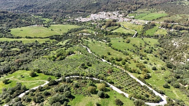 Finca/Landehus til salg i Gaucín - € 400.000 (Ref: 8210561)