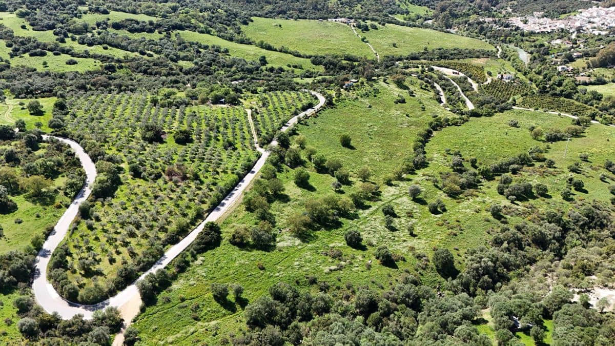 Finca/Country House for sale in Gaucin - € 400,000 (Ref: 8210561)