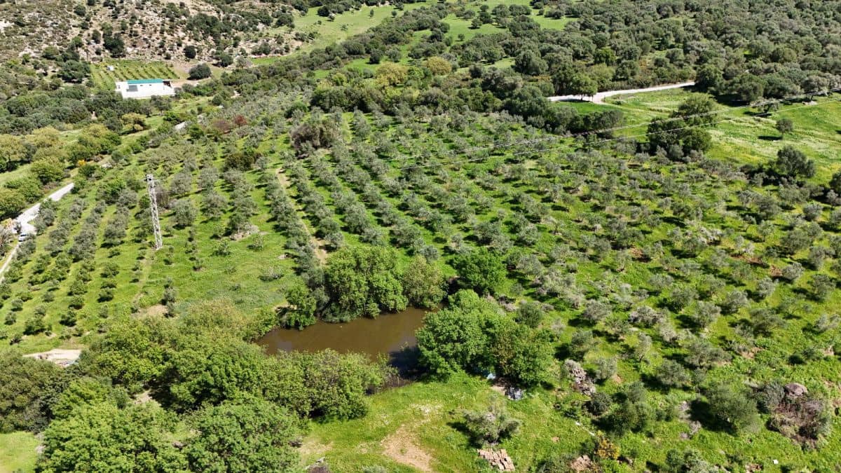 Finca/Country House for sale in Gaucin - € 400,000 (Ref: 8210561)