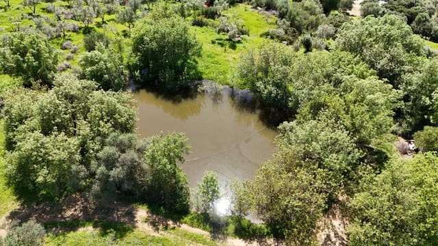 Finca/Landehus til salg i Gaucín - € 400.000 (Ref: 8210561)