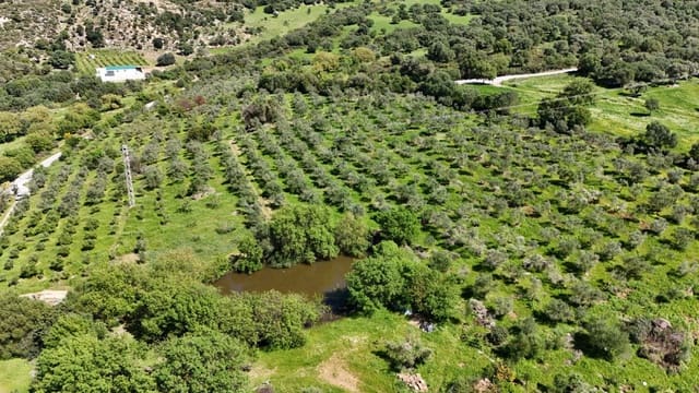 Finca/Landehus til salg i Gaucín - € 400.000 (Ref: 8210561)