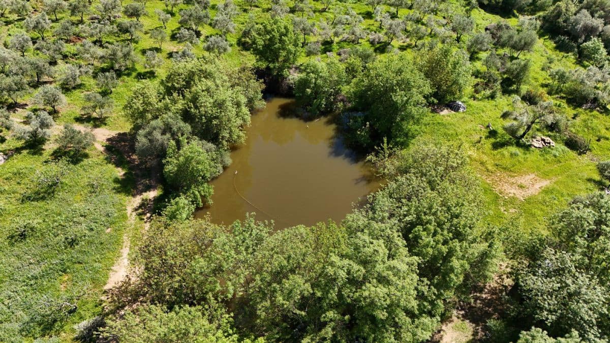 Finca/Country House for sale in Gaucin - € 400,000 (Ref: 8210561)