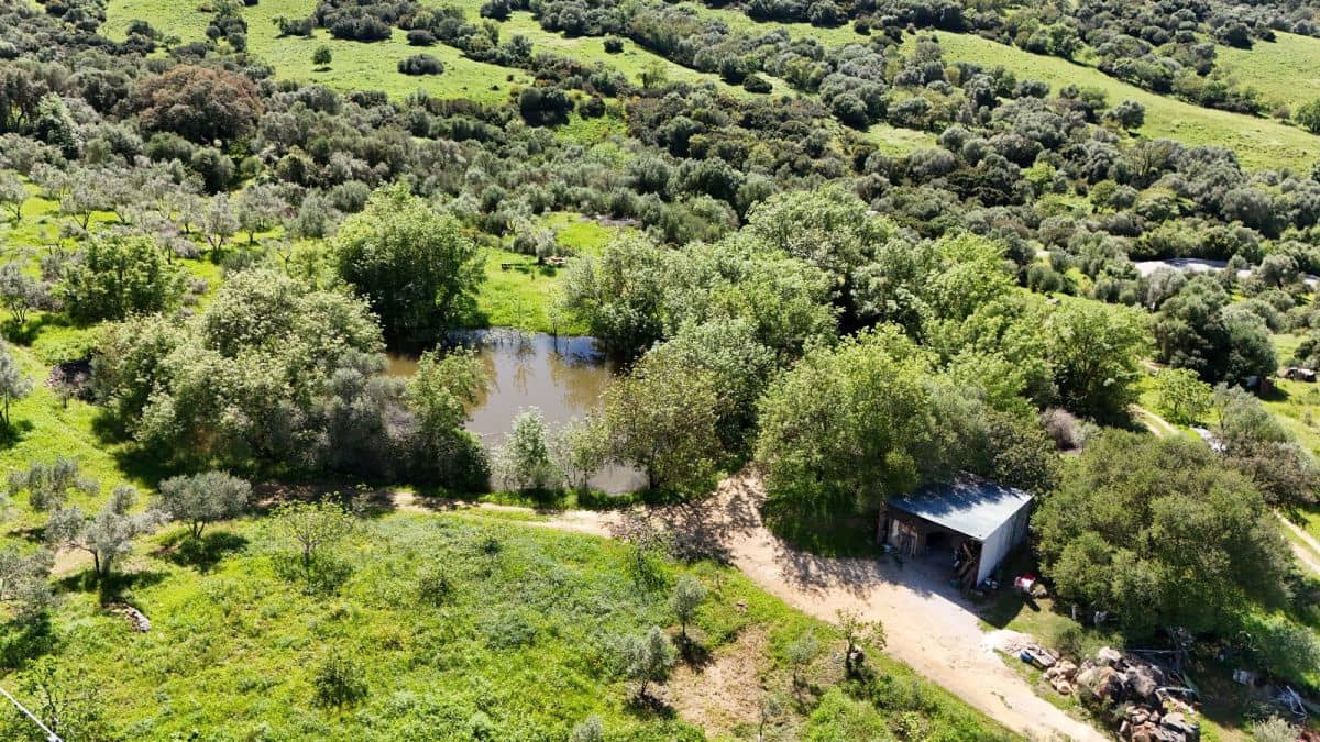 Finca/Country House for sale in Gaucin - € 400,000 (Ref: 8210561)