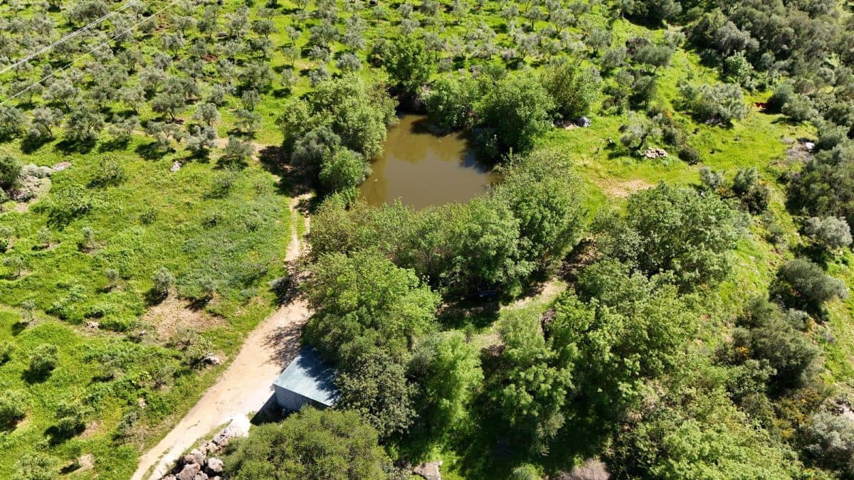 Finca/Country House for sale in Gaucin - € 400,000 (Ref: 8210561)