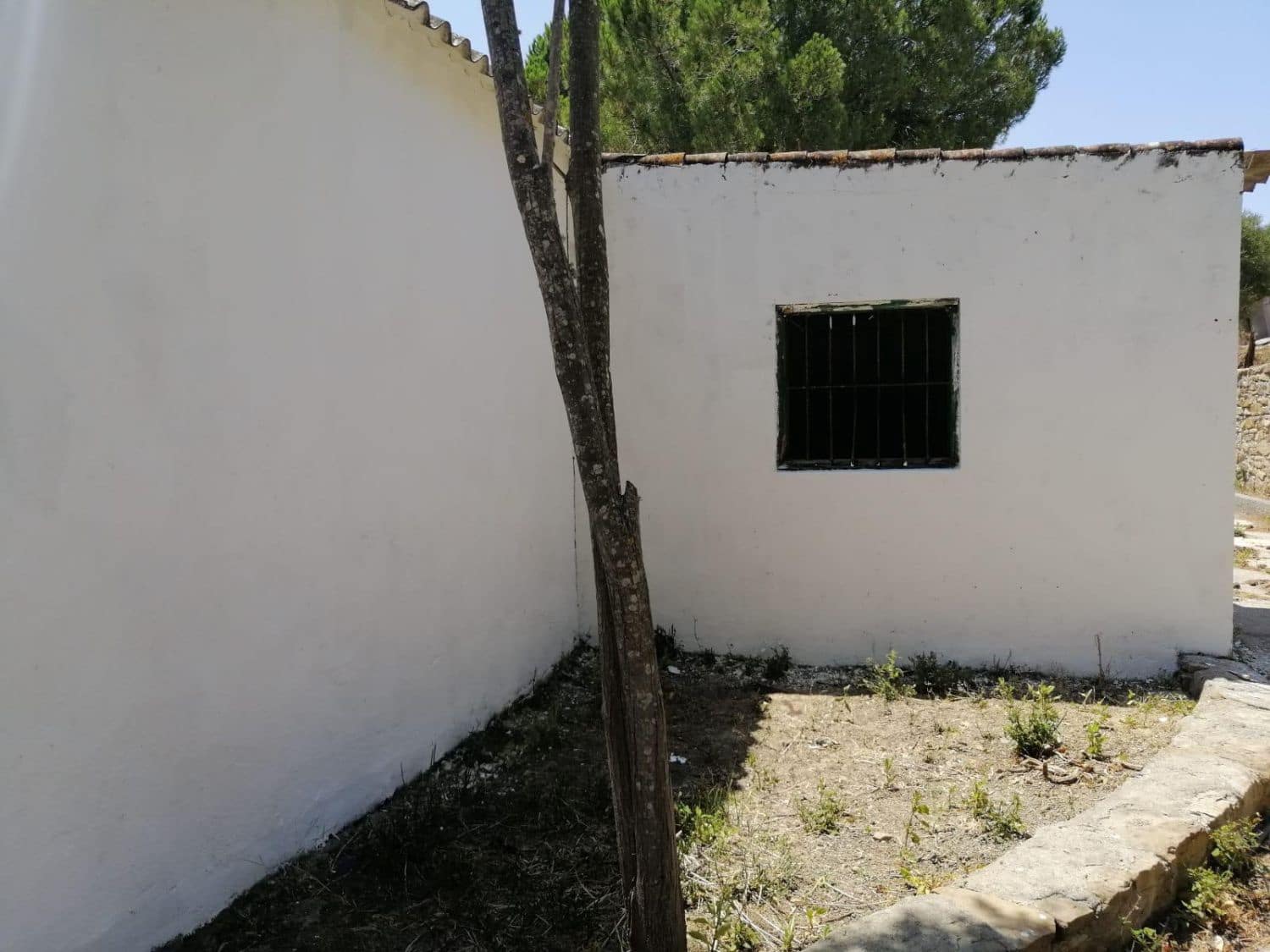 Finca/Maison de Campagne à vendre à San Martin del Tesorillo - 3 500 000 € (Ref: 8263006)