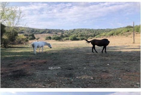 Finca/Maison de Campagne à vendre à San Martin del Tesorillo - 3 500 000 € (Ref: 8263006)