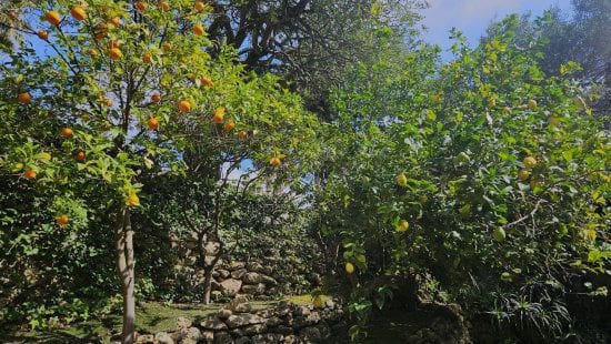 6 bedroom Villa for sale in Sotogrande - € 1,850,000 (Ref: 8579415)