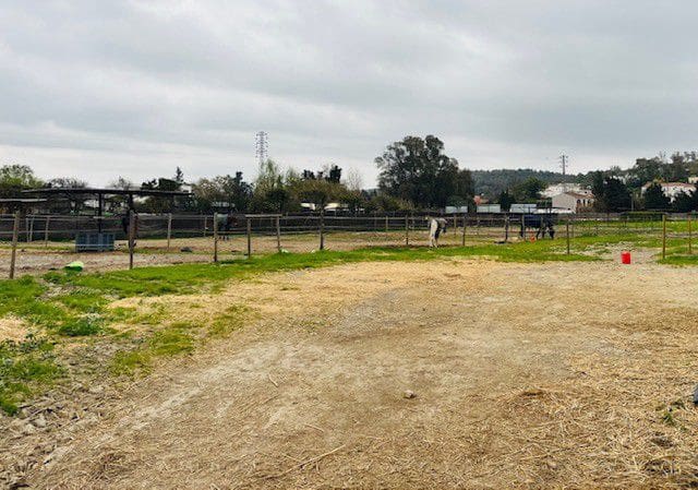 Landgrundstück zu verkaufen in San Enrique de Guadiaro, San Roque - 425.000 € (Ref: 8654659)