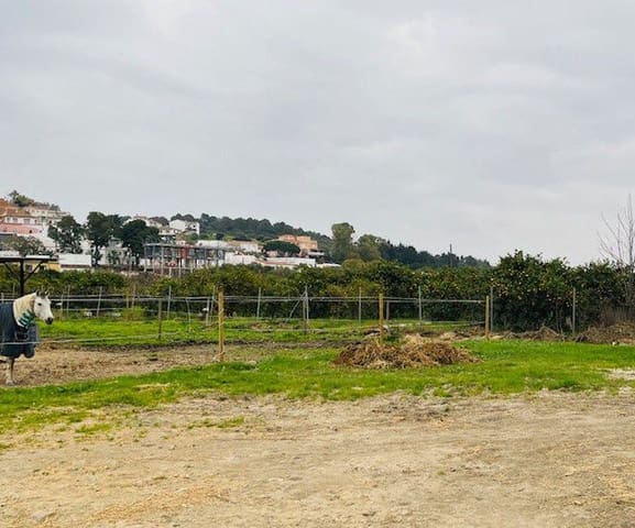 Landgrundstück zu verkaufen in San Enrique de Guadiaro, San Roque - 425.000 € (Ref: 8654659)