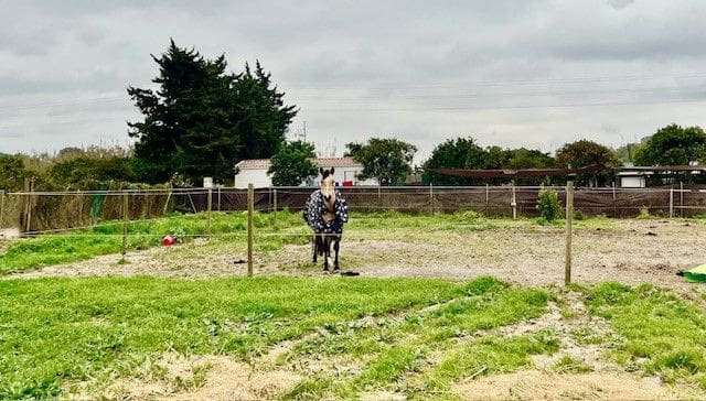 Landgrundstück zu verkaufen in San Enrique de Guadiaro, San Roque - 425.000 € (Ref: 8654659)