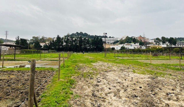 Landgrundstück zu verkaufen in San Enrique de Guadiaro, San Roque - 425.000 € (Ref: 8654659)