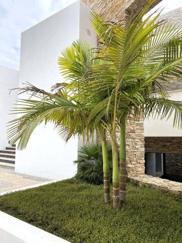 6 chambre Villa/Maison à vendre à San Roque avec garage - 4 500 000 € (Ref: 8671822)