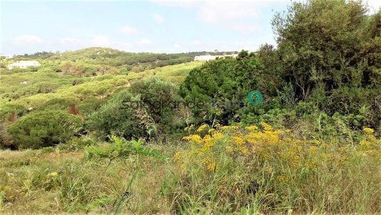 Grunde uden byggetilladelser til salg i Sotogrande Alto, San Roque - € 635.000 (Ref: 8951333)