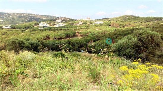 Grunde uden byggetilladelser til salg i Sotogrande Alto, San Roque - € 635.000 (Ref: 8951333)