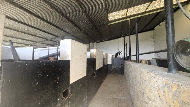 3 soveværelse Finca/Landehus til salg i Jimena de la Frontera - € 900.000 (Ref: 8960499)