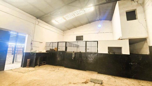 3 soveværelse Finca/Landehus til salg i Jimena de la Frontera - € 900.000 (Ref: 8960499)