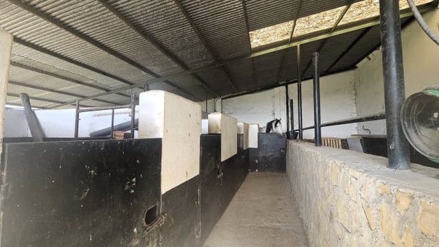 3 soveværelse Finca/Landehus til salg i Jimena de la Frontera - € 900.000 (Ref: 8960499)