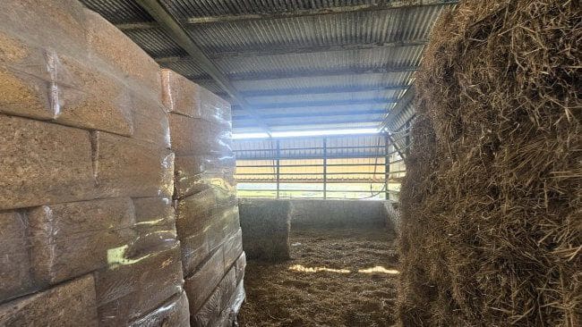 3 soveværelse Finca/Landehus til salg i Jimena de la Frontera - € 900.000 (Ref: 8960499)