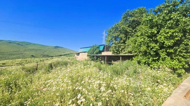 3 soveværelse Finca/Landehus til salg i Jimena de la Frontera - € 900.000 (Ref: 8960499)