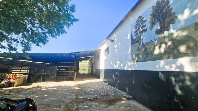 3 soveværelse Finca/Landehus til salg i Jimena de la Frontera - € 900.000 (Ref: 8960499)