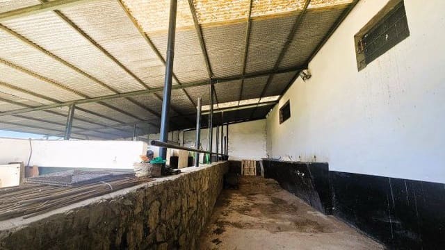 3 soveværelse Finca/Landehus til salg i Jimena de la Frontera - € 900.000 (Ref: 8960499)