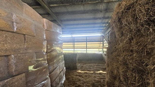 3 soveværelse Finca/Landehus til salg i Jimena de la Frontera - € 900.000 (Ref: 8960499)