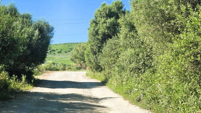 3 soveværelse Finca/Landehus til salg i Jimena de la Frontera - € 900.000 (Ref: 8960499)