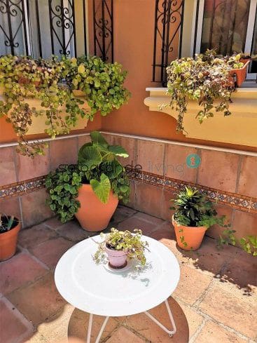 4 slaapkamer Villa te huur in Sotogrande - € 6.000 (Ref: 9103145)