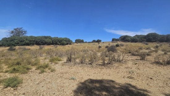 Finca/Landehus til salg i San Roque - € 735.000 (Ref: 9147507)