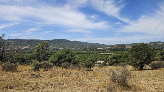 Finca/Maison de Campagne à vendre à San Roque - 735 000 € (Ref: 9147507)