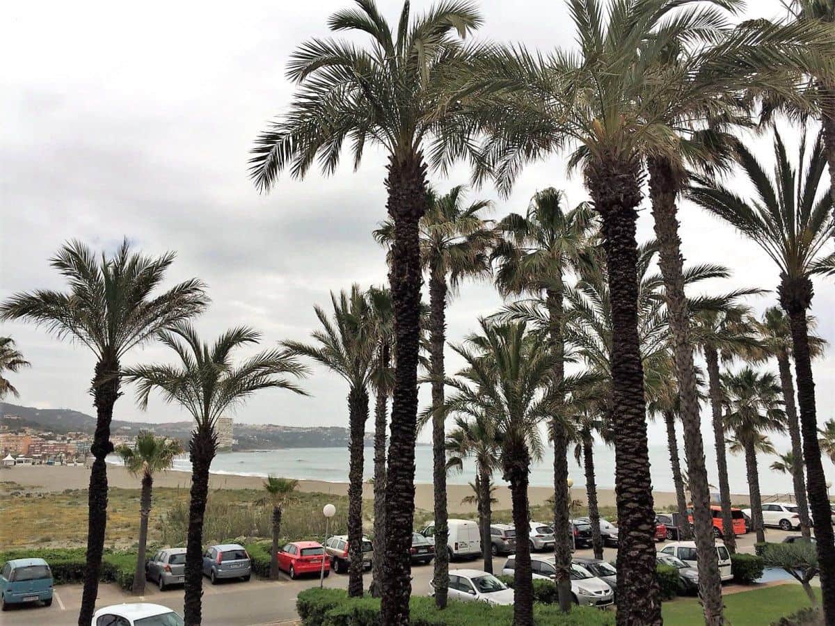 3 soverom Leilighet til leie i Sotogrande med garasje - € 1 600 (Ref: 9169843)