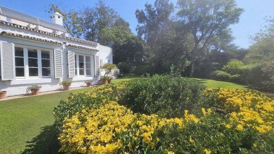 4 bedroom Villa for sale in Sotogrande - € 1,250,000 (Ref: 9353796)