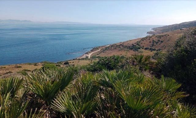 Finca/Landehus til salg i Tarifa - € 1.055.000 (Ref: 9367794)