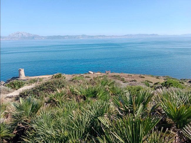 Finca/Casa di Campagna in vendita in Tarifa - 1.055.000 € (Rif: 9367794)