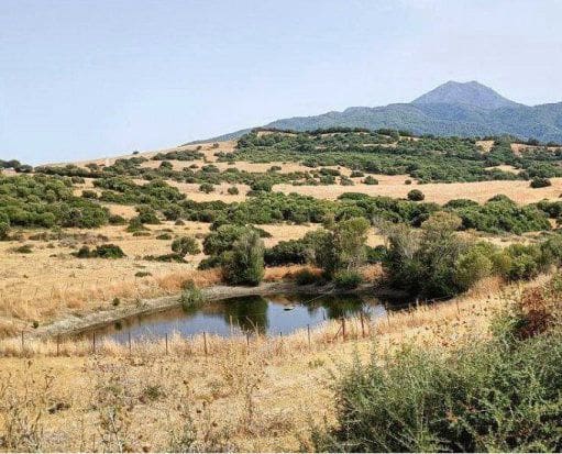 Finca/Landehus til salg i Gaucín - € 2.900.000 (Ref: 9372064)