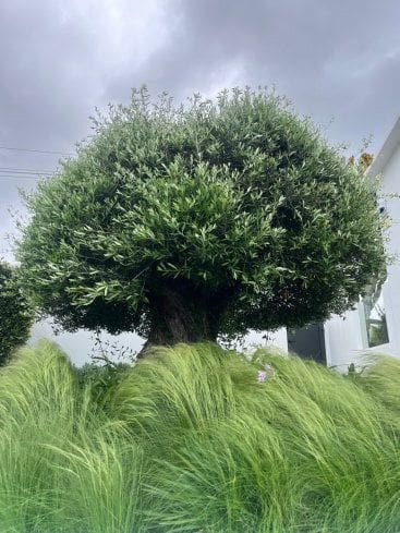 5 bedroom Villa for sale in Torreguadiaro - € 1,300,000 (Ref: 9561453)