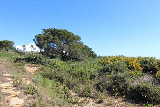 5 soveværelse Villa til salg i Sotogrande - € 6.500.000 (Ref: 9564905)