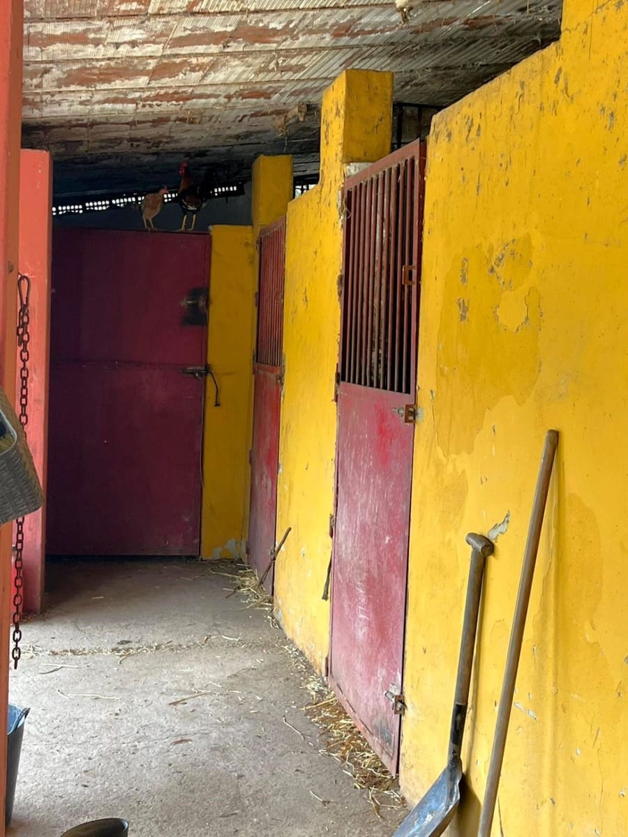 Finca/Country House for sale in Jimena de la Frontera - € 400,000 (Ref: 9637261)