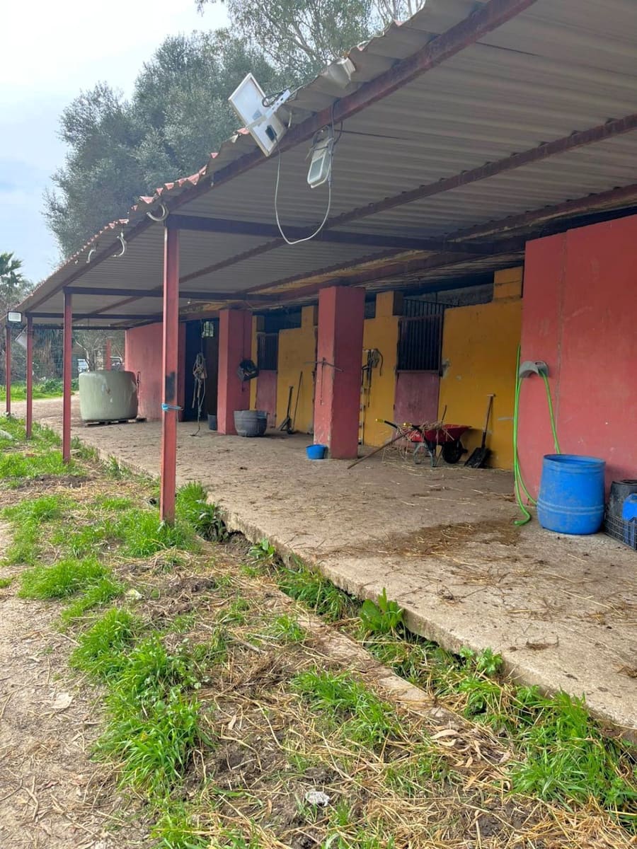 Finca/Country House for sale in Jimena de la Frontera - € 400,000 (Ref: 9637261)