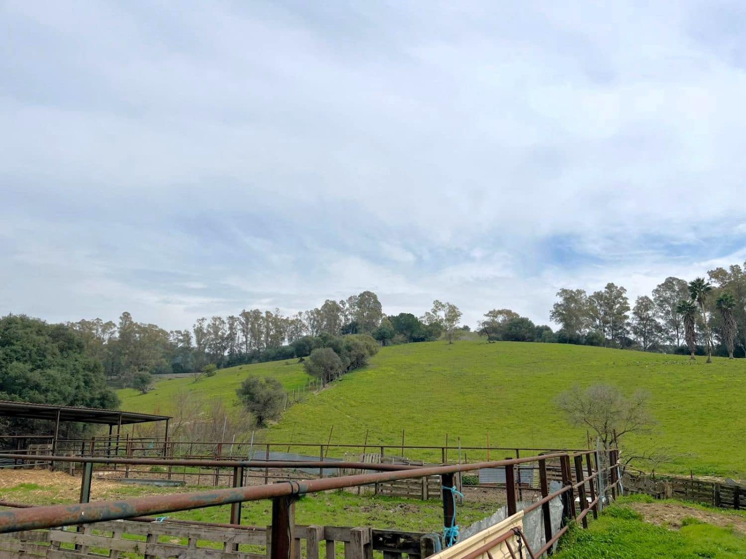 Finca/Country House for sale in Jimena de la Frontera - € 400,000 (Ref: 9637261)