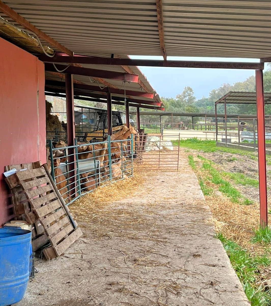 Finca/Country House for sale in Jimena de la Frontera - € 400,000 (Ref: 9637261)