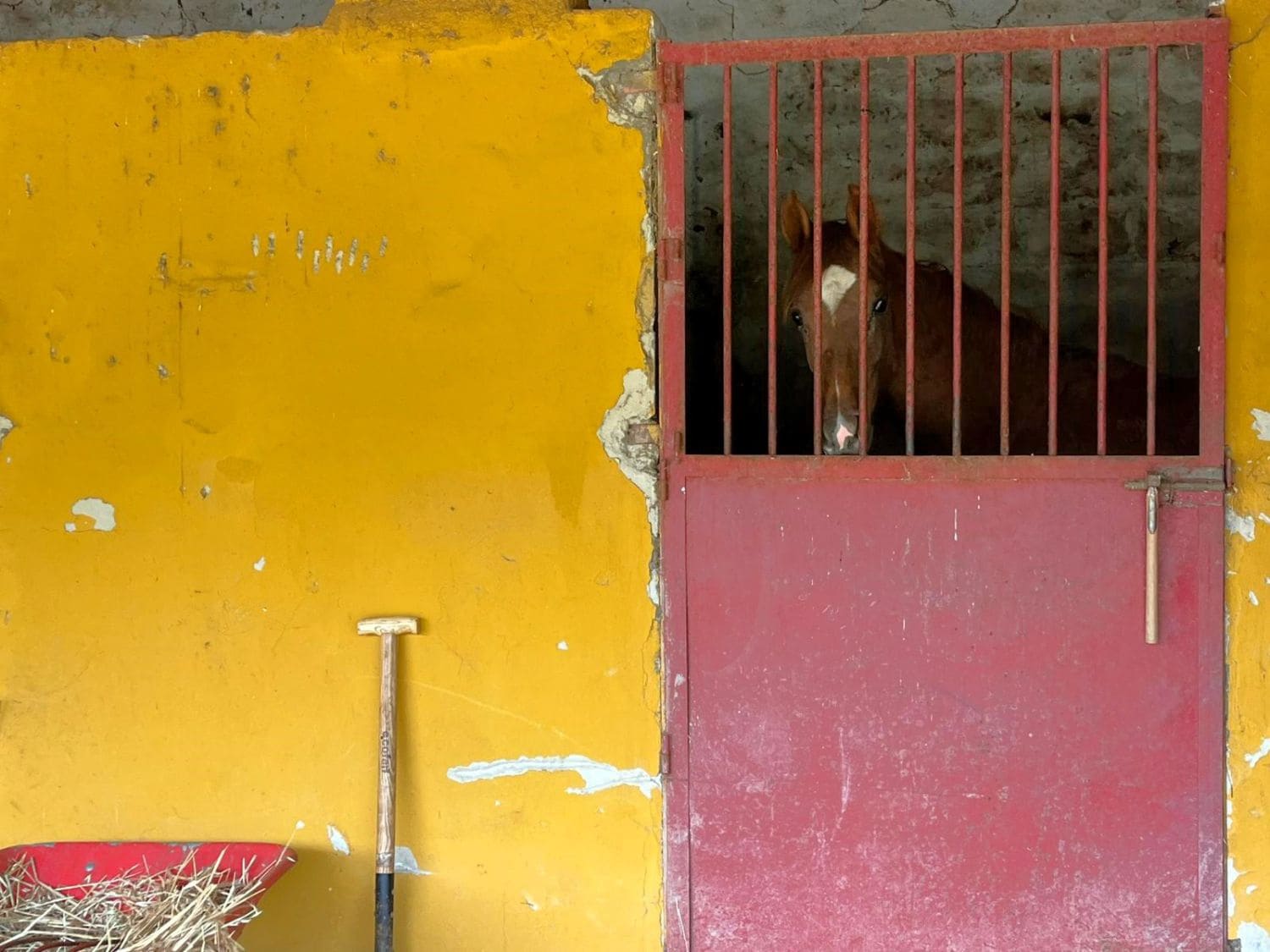 Finca/Country House for sale in Jimena de la Frontera - € 400,000 (Ref: 9637261)
