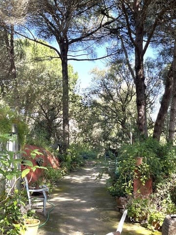 2 Zimmer Haus zu verkaufen in San Roque mit Garage - 388.000 € (Ref: 9714647)