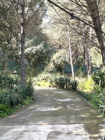 2 Zimmer Haus zu verkaufen in San Roque mit Garage - 388.000 € (Ref: 9714647)