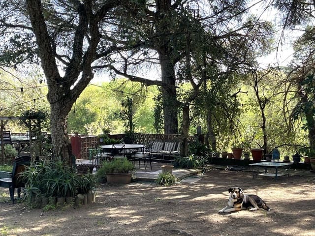 2 Zimmer Haus zu verkaufen in San Roque mit Garage - 388.000 € (Ref: 9714647)