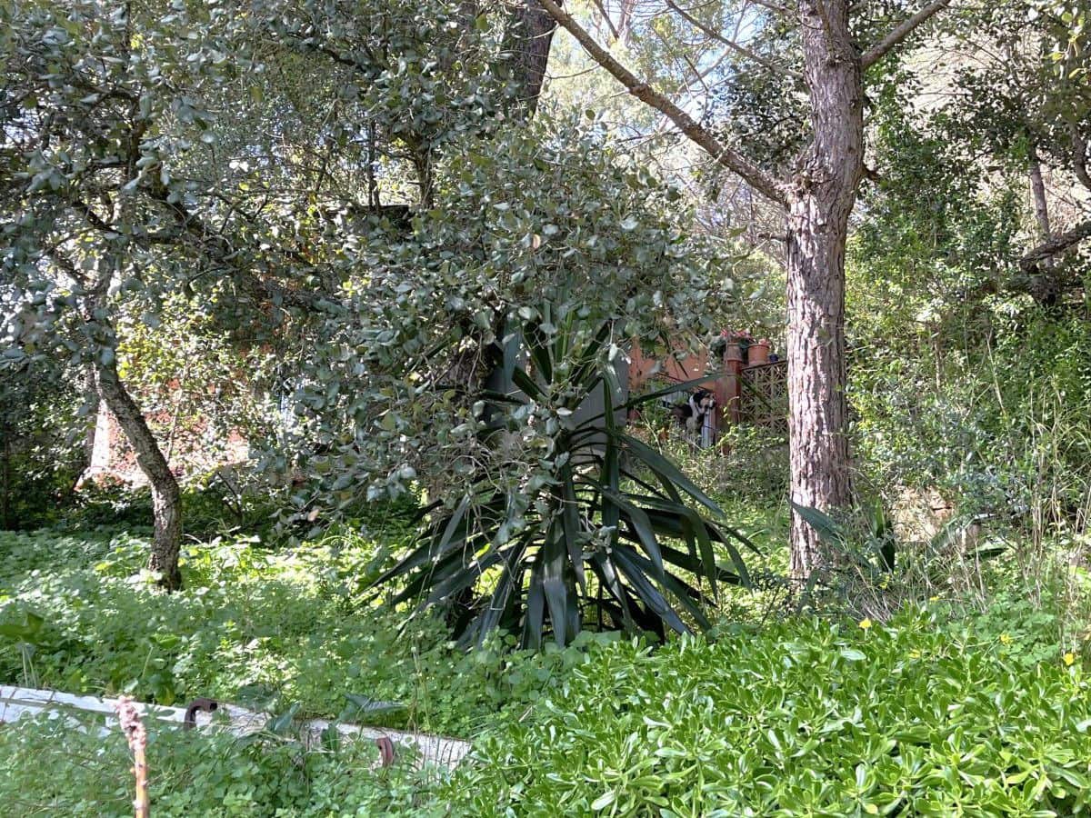 2 bedroom Townhouse for sale in San Roque with garage - € 388,000 (Ref: 9714647)