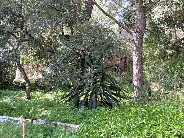 2 Zimmer Haus zu verkaufen in San Roque mit Garage - 388.000 € (Ref: 9714647)